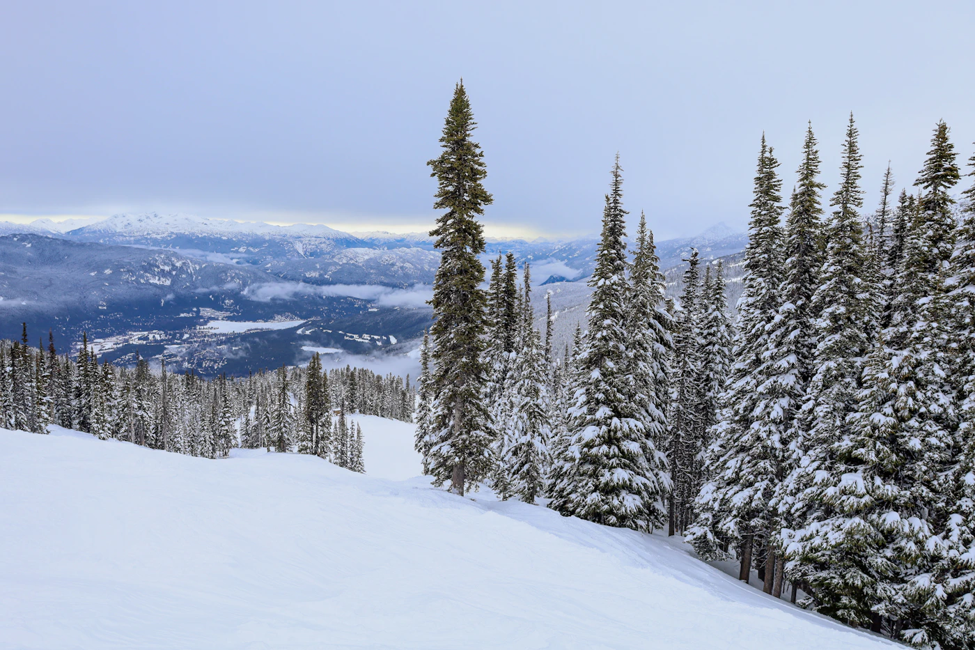 Snow-covered alpine ski slope with snow-laden trees on the run edges and the valley visible far below in the distance