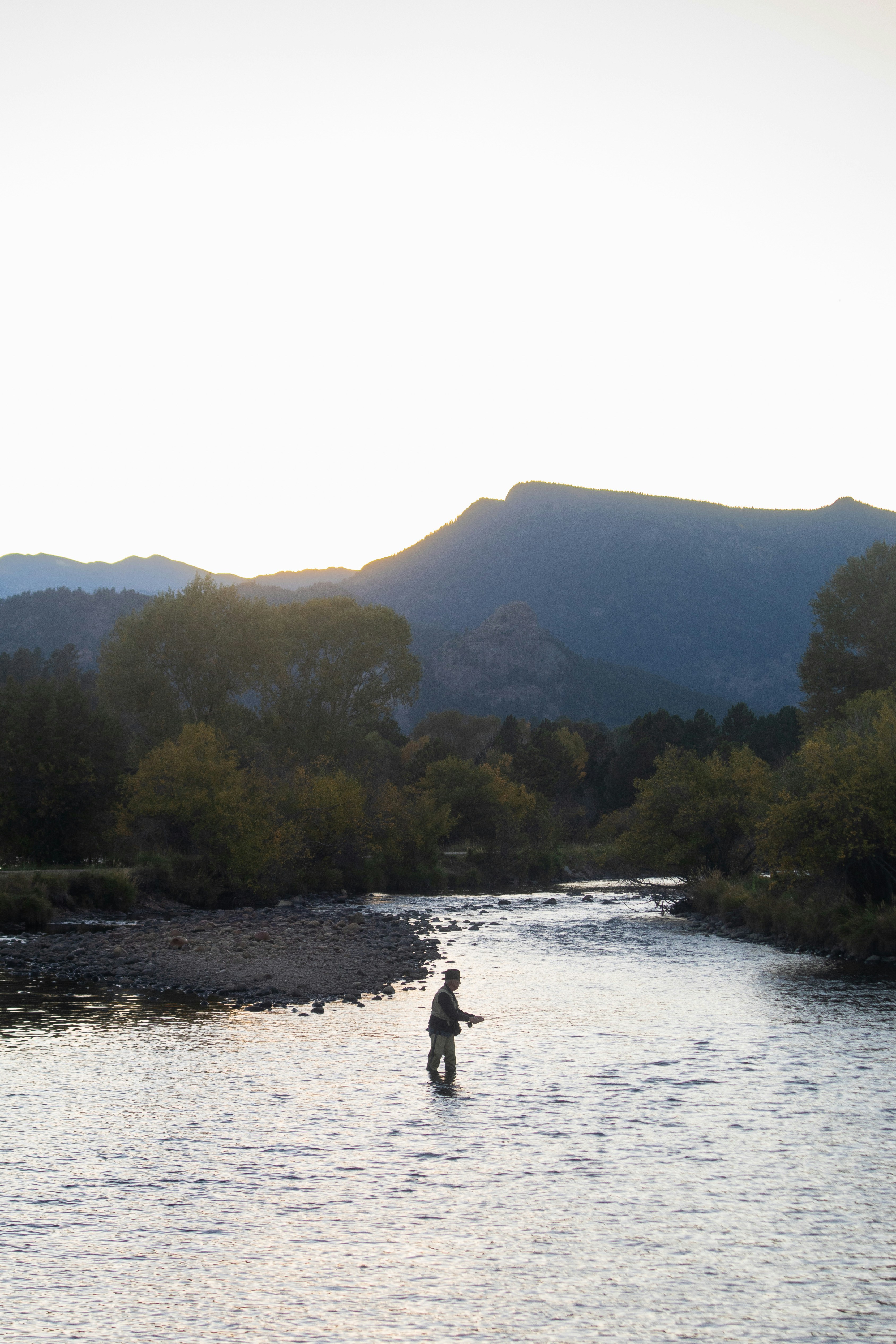 a man standing in a river next to a forest