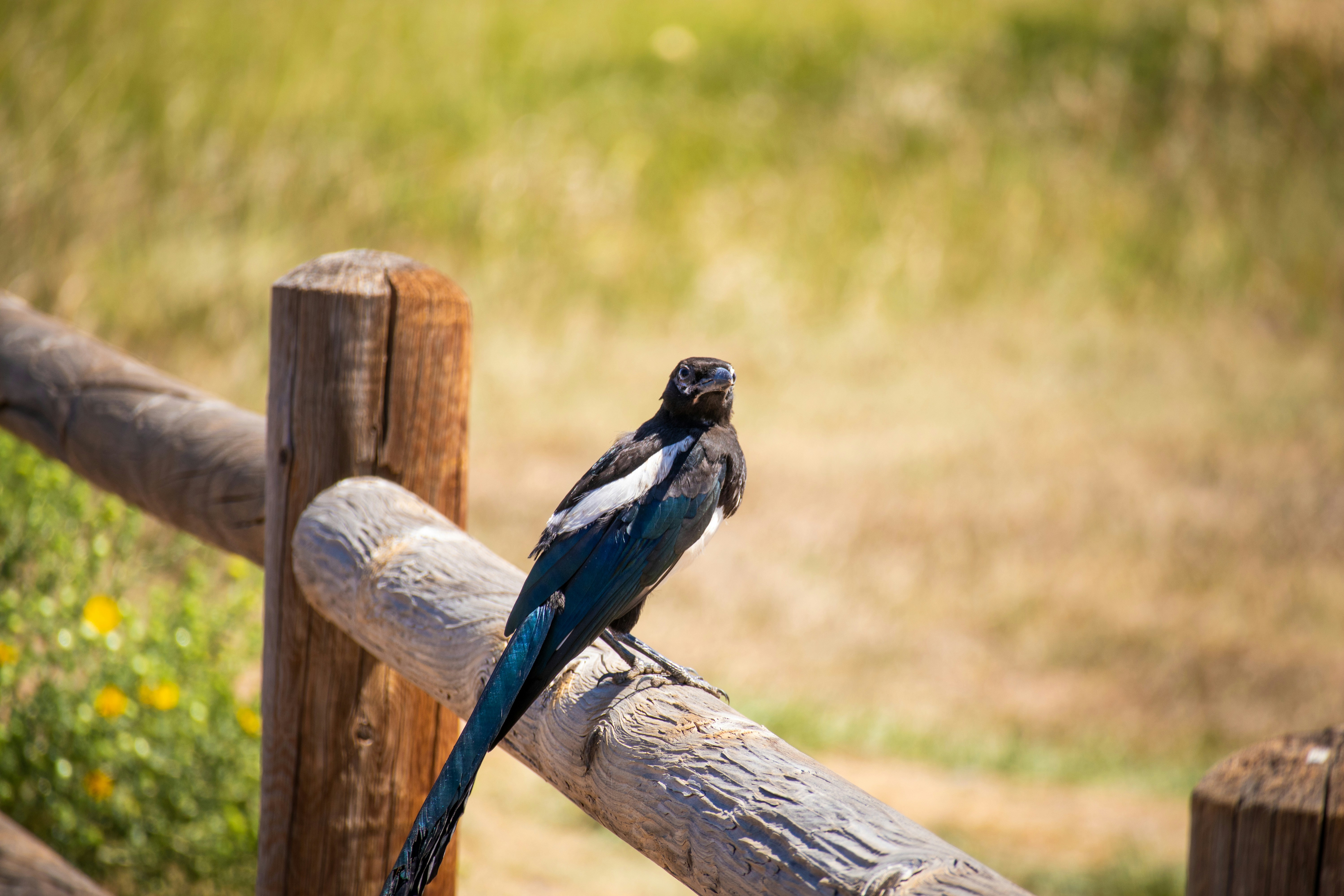 Photo by theenthusedlife