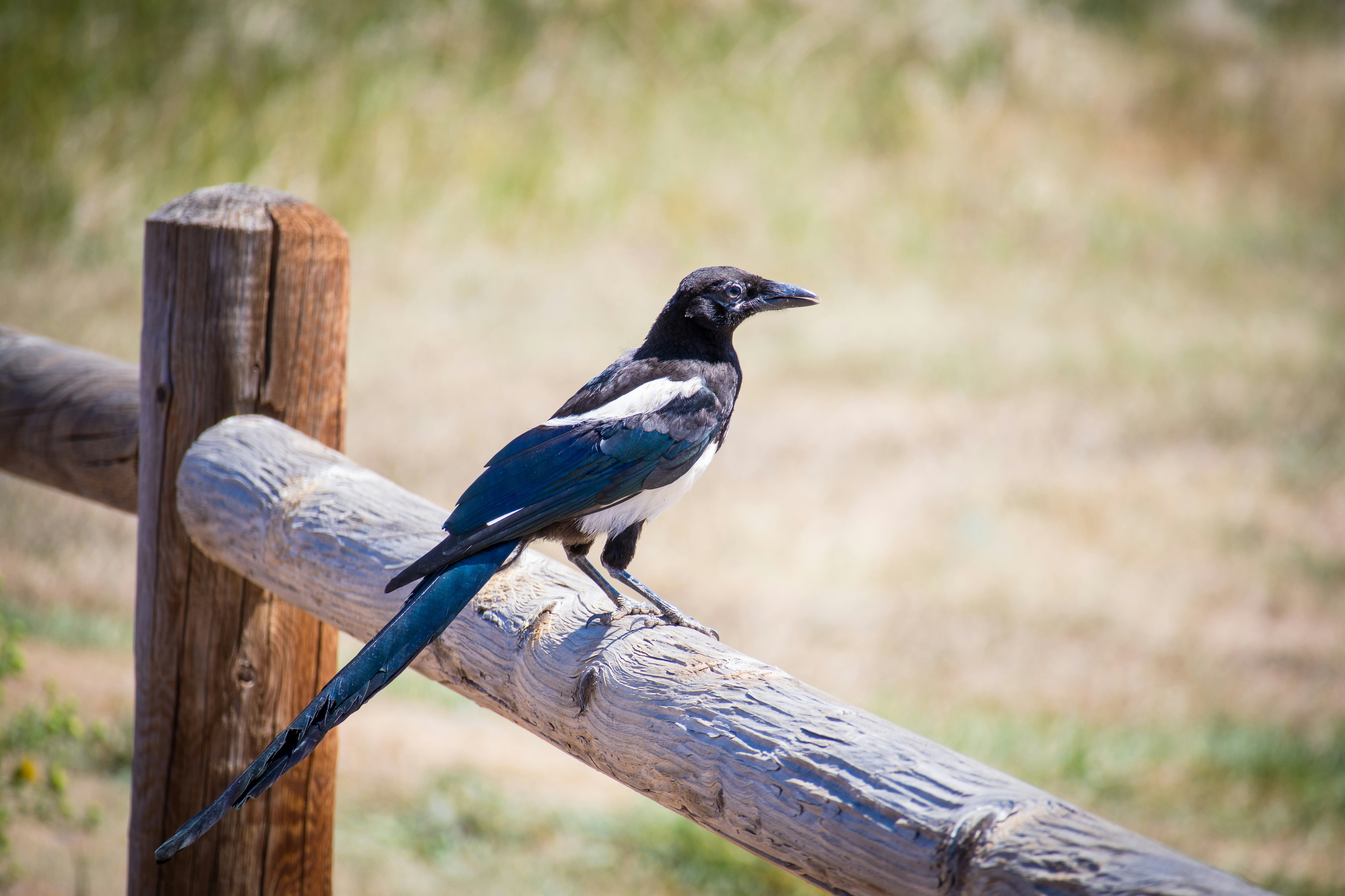 Photo by theenthusedlife