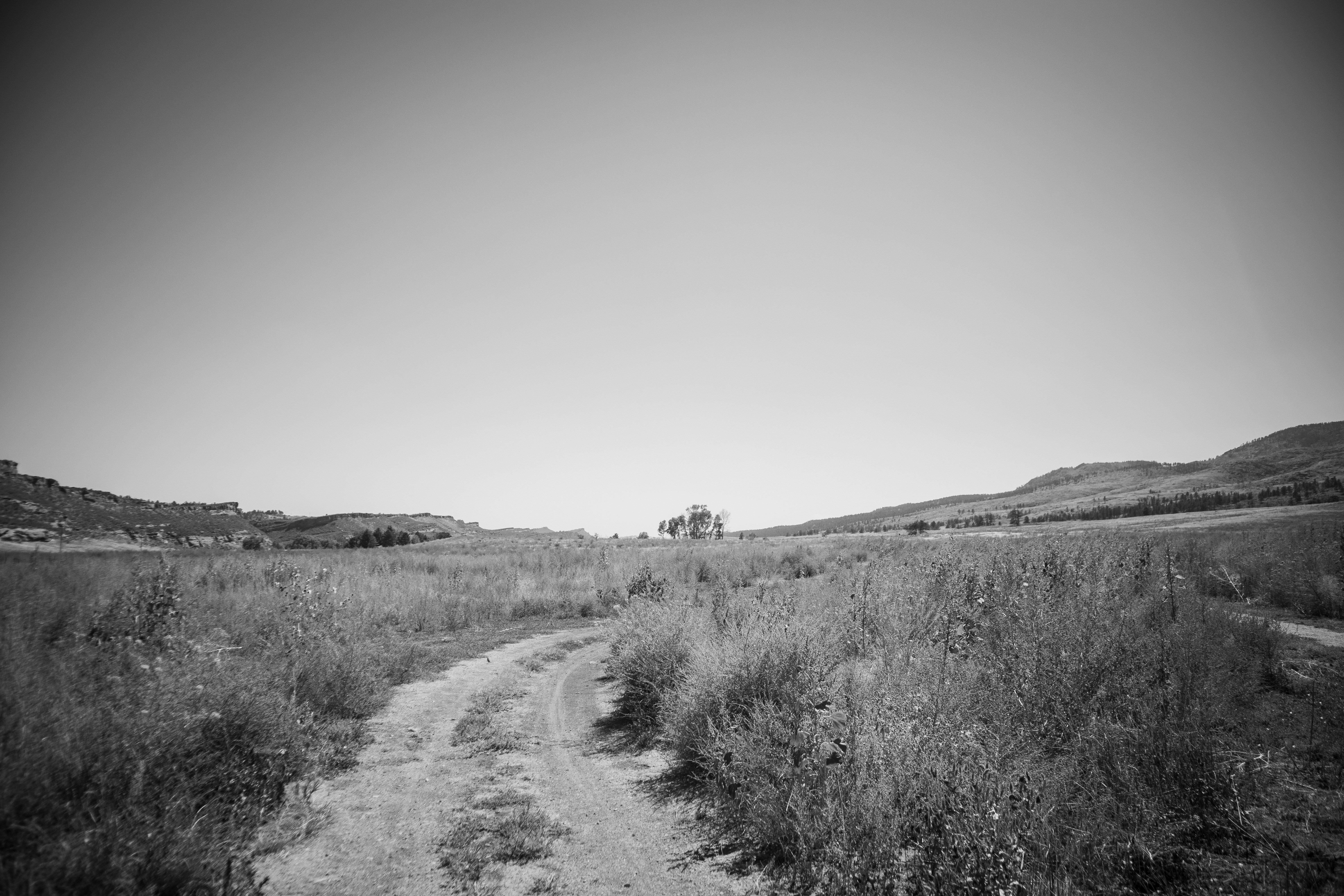 Photo by theenthusedlife