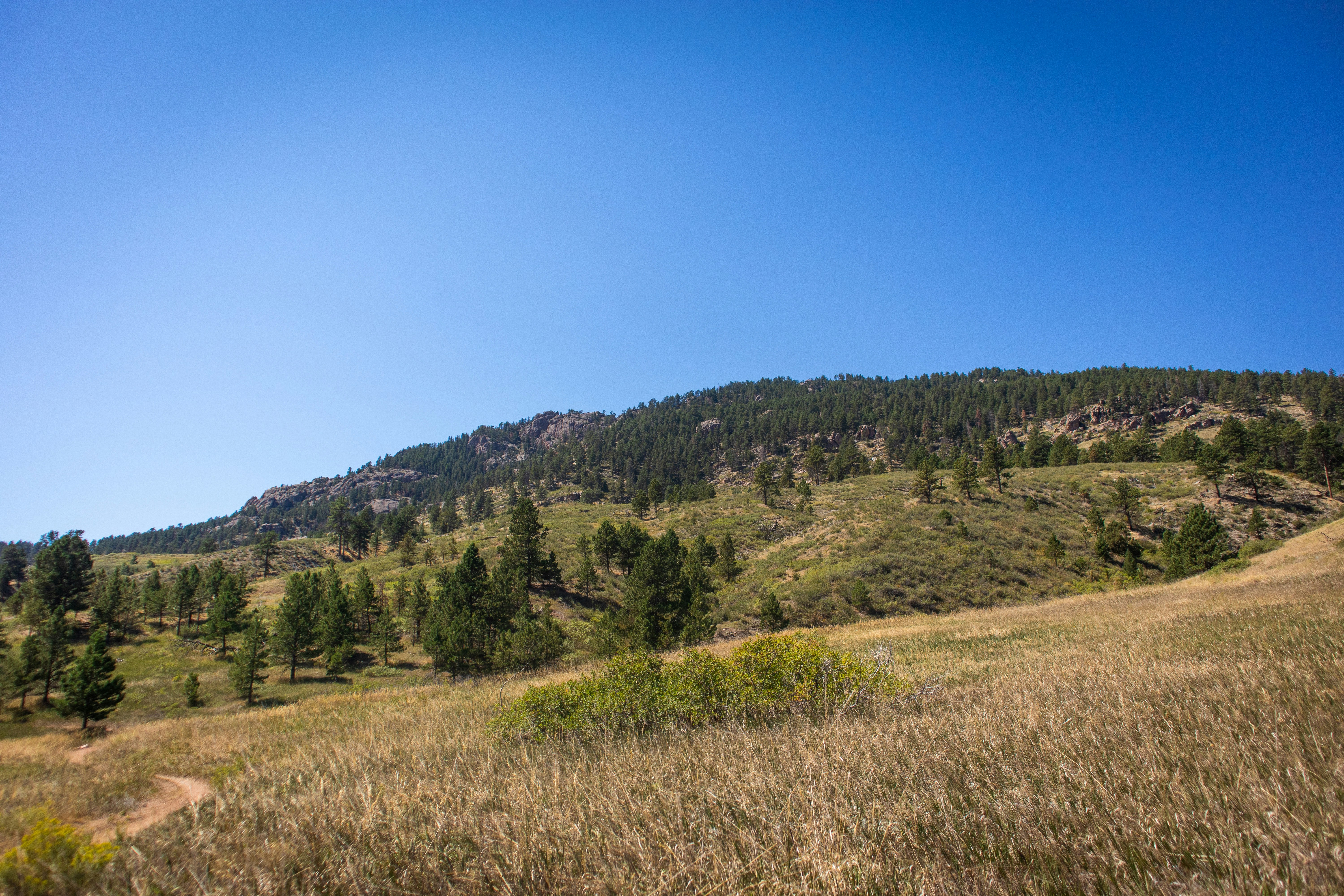 Photo by theenthusedlife