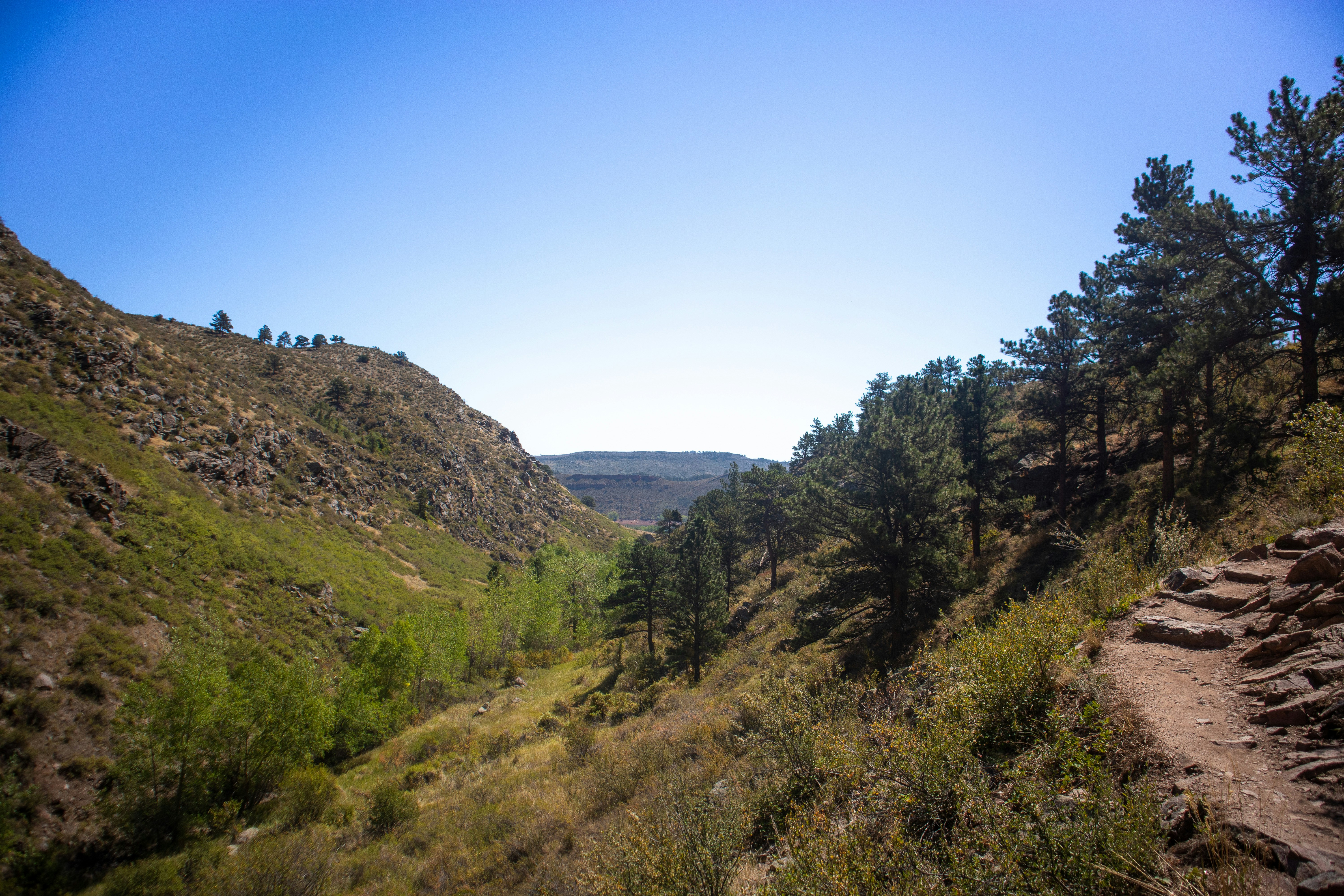 Photo by theenthusedlife