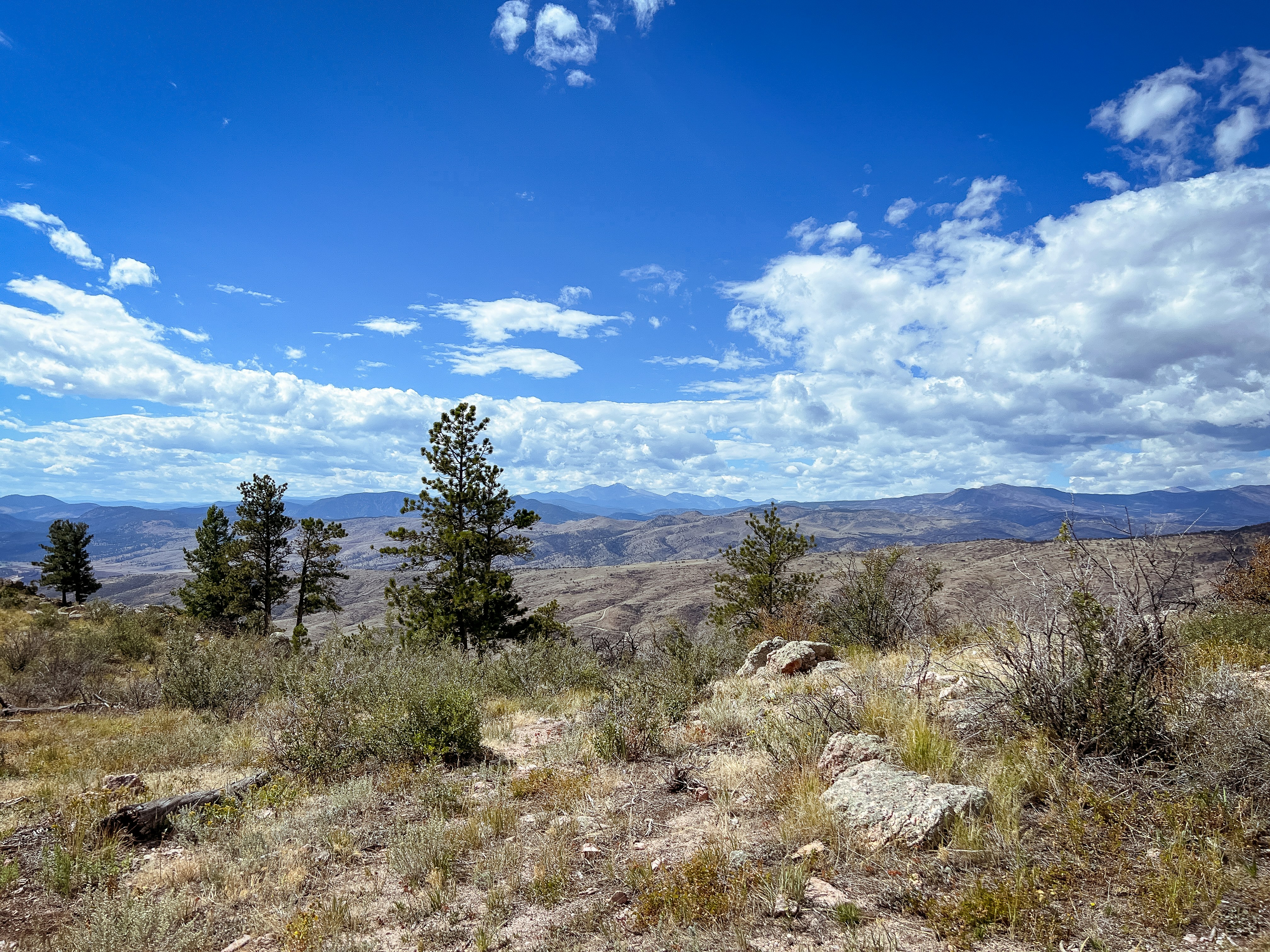 Photo by theenthusedlife