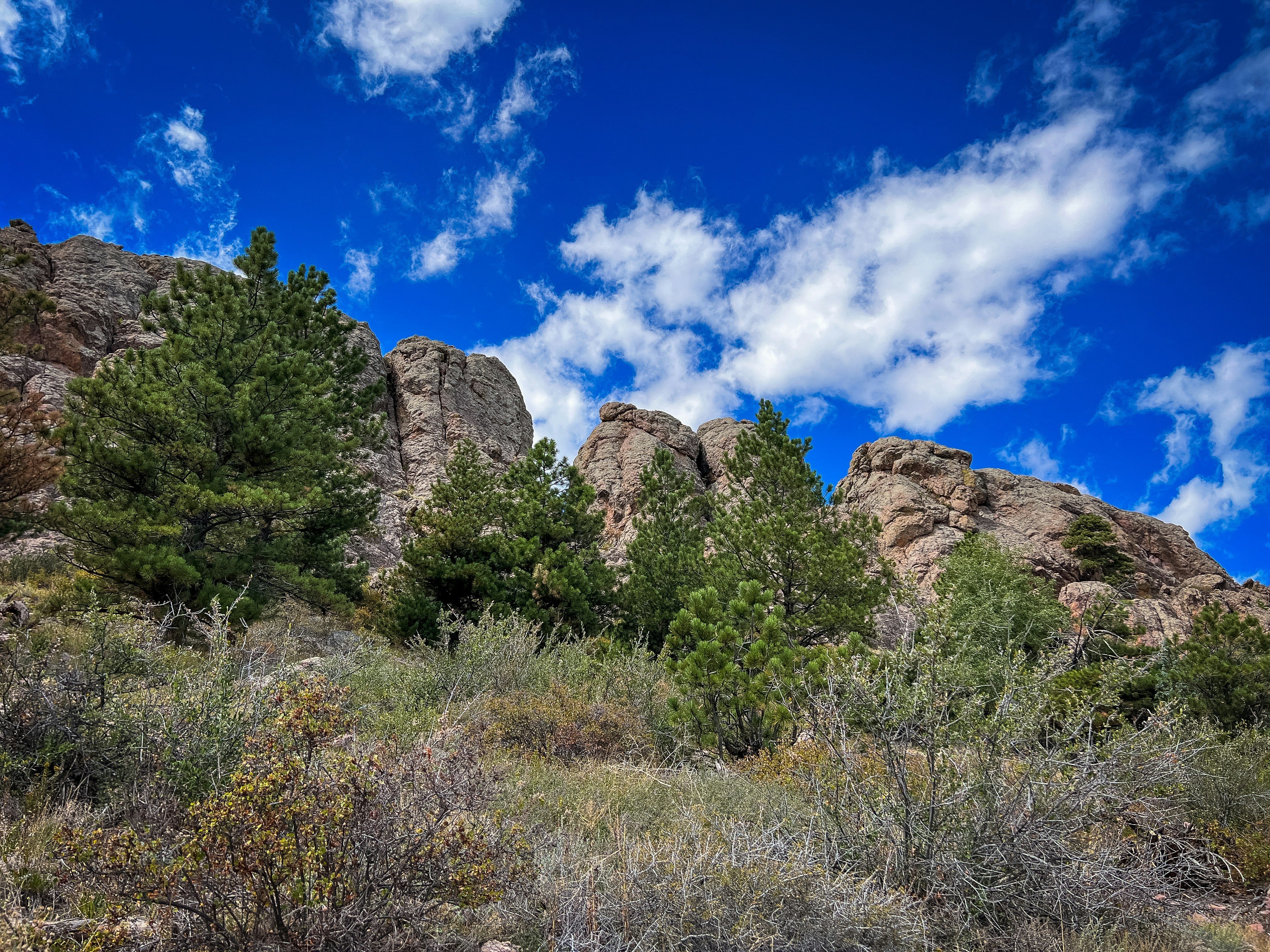 Photo by theenthusedlife