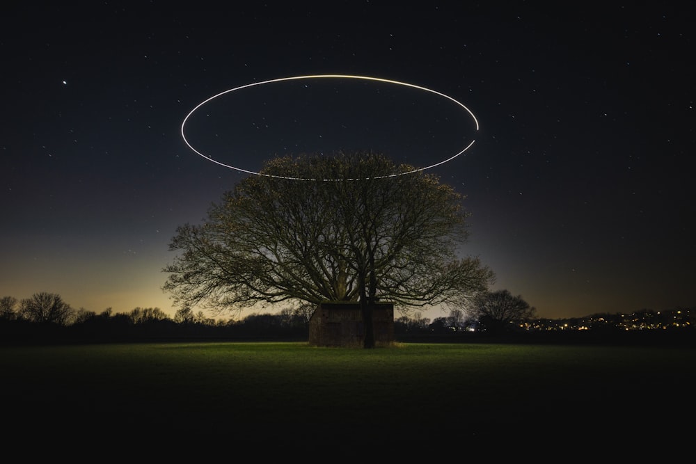 a tree in a field with a ring in the sky
