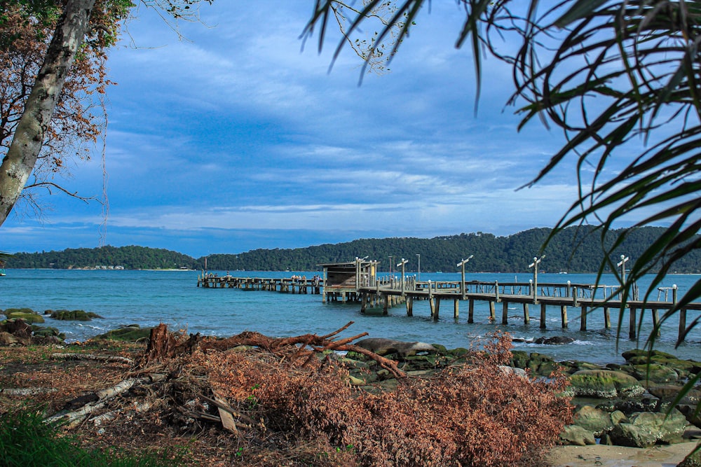 a pier on a body of water surrounded by trees