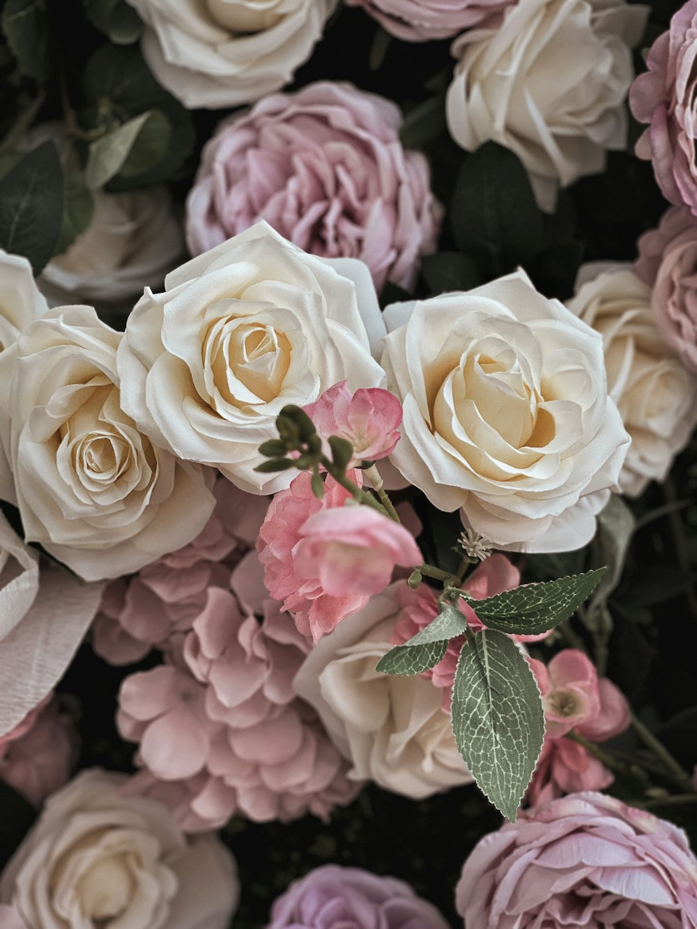 a close up of a bunch of flowers