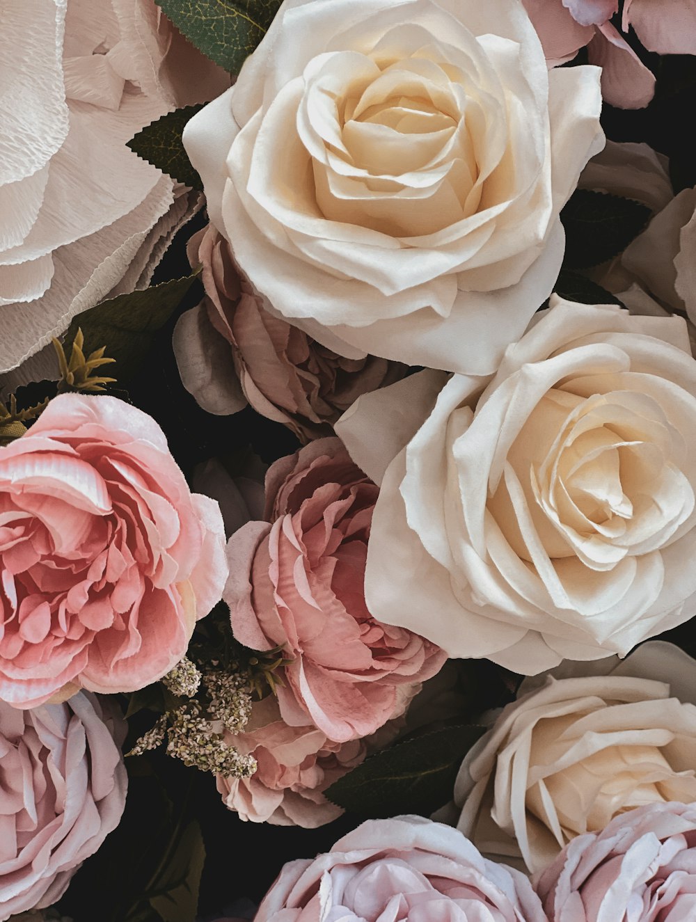 a close up of a bunch of flowers