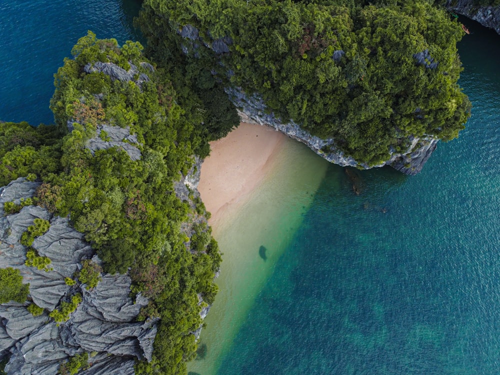 an aerial view of a sandy beach surrounded by green trees