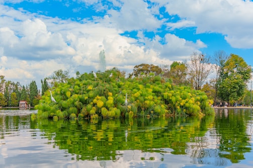 A lush, green islet with vibrant foliage is surrounded by calm waters in a natural setting. Several white birds, possibly egrets, stand among the dense greenery. Trees border the background under a bright blue sky filled with fluffy white clouds. A small building with a red roof is visible on the left, adding a touch of human presence to the otherwise tranquil landscape.