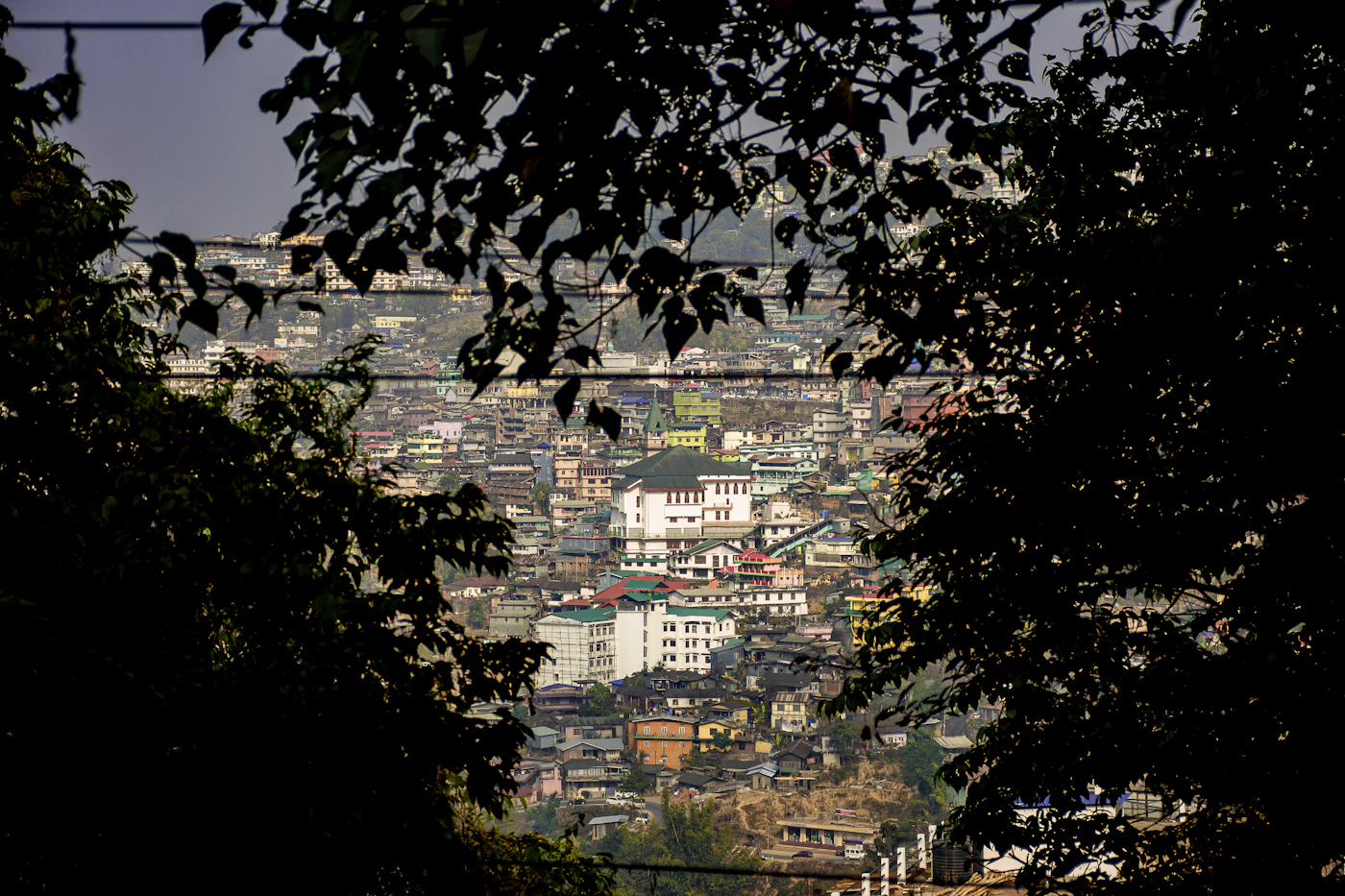 Kohima
