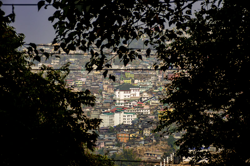 Best Areas in Kohima to Explore Entirely on Foot