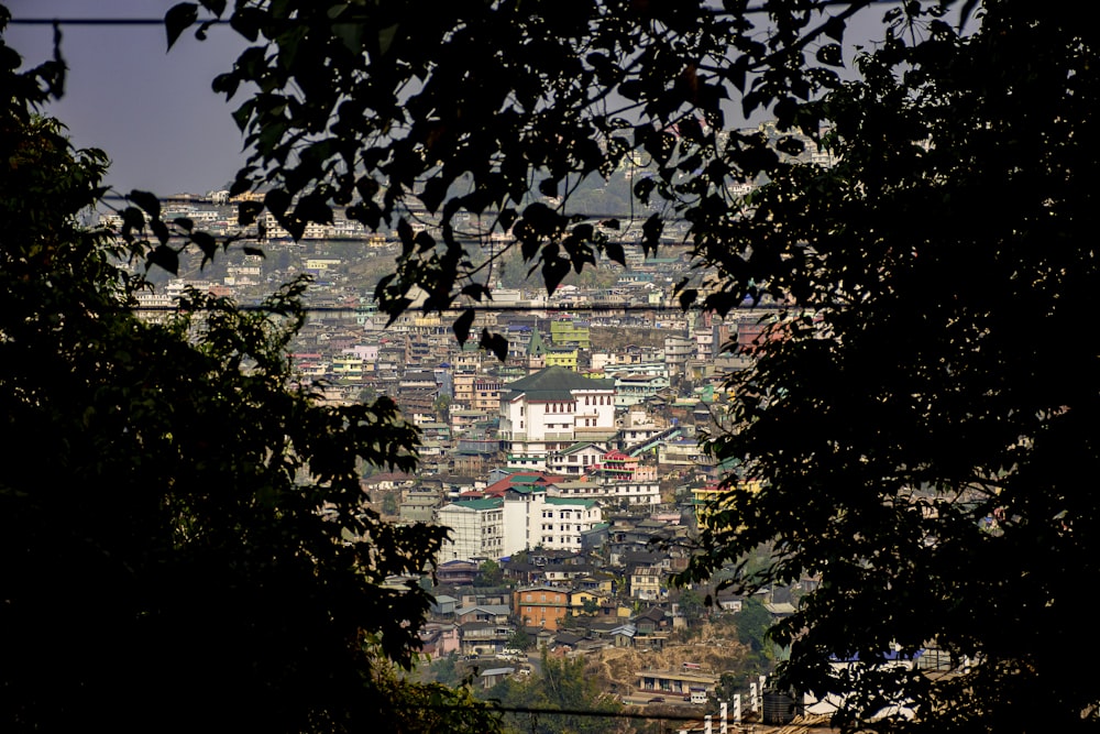 a view of a city from behind some trees