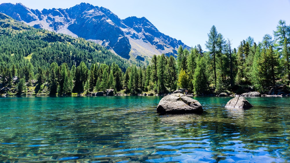 Un lago de montaña rodeado de árboles y rocas