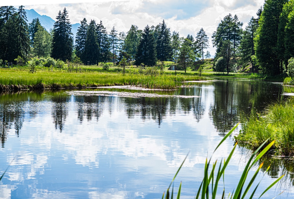 a lake surrounded by lush green grass and trees