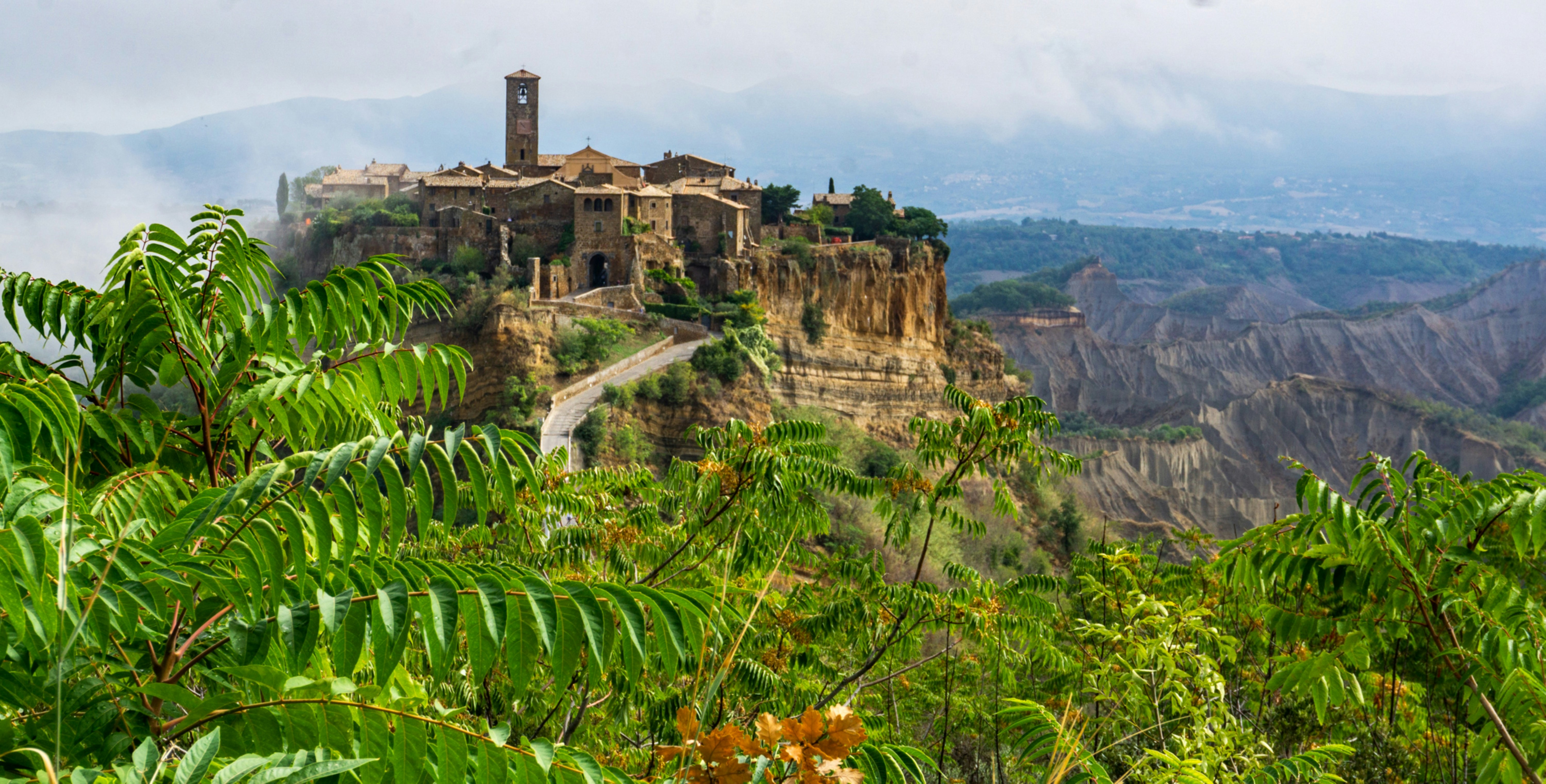 a castle perched on top of a cliff surrounded by trees