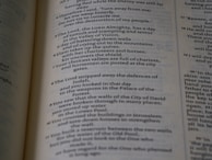 A page from a book with dense text printed in a serif font, featuring numbered lines and a conversational style. The text appears to be a narrative or dialogue, likely from a religious or historical context, as it mentions places and figures often associated with such themes.