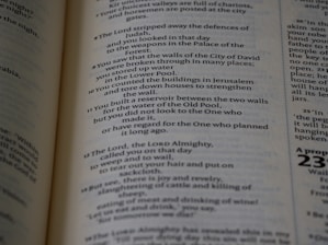 A close-up of a Constitution page highlighting the Bill of Rights.