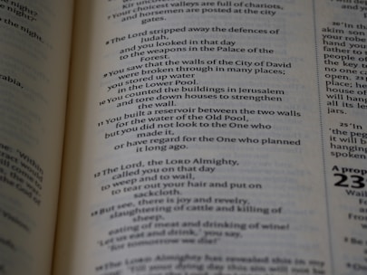 A close-up of a Constitution page highlighting the Bill of Rights.