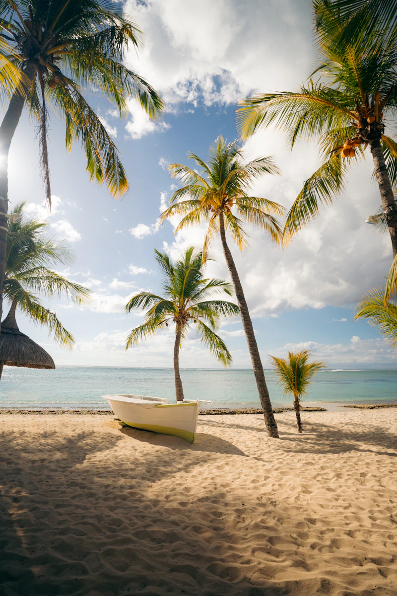 Palm-lined beach and a small boat