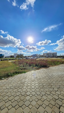 A freshly cleaned driveway with sparkling stone surfaces under bright sunlight.
