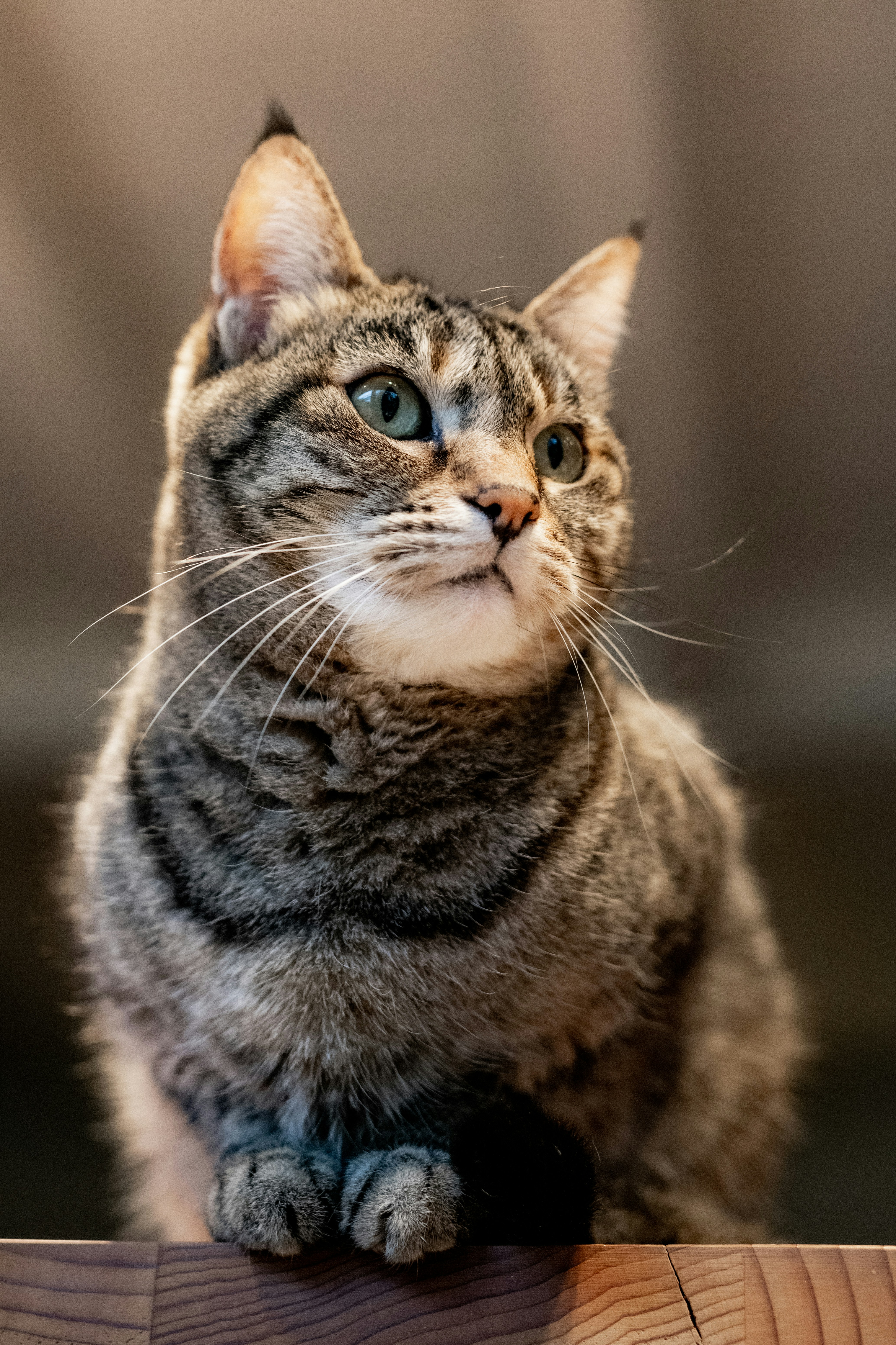 Photo by lauraadaiphoto