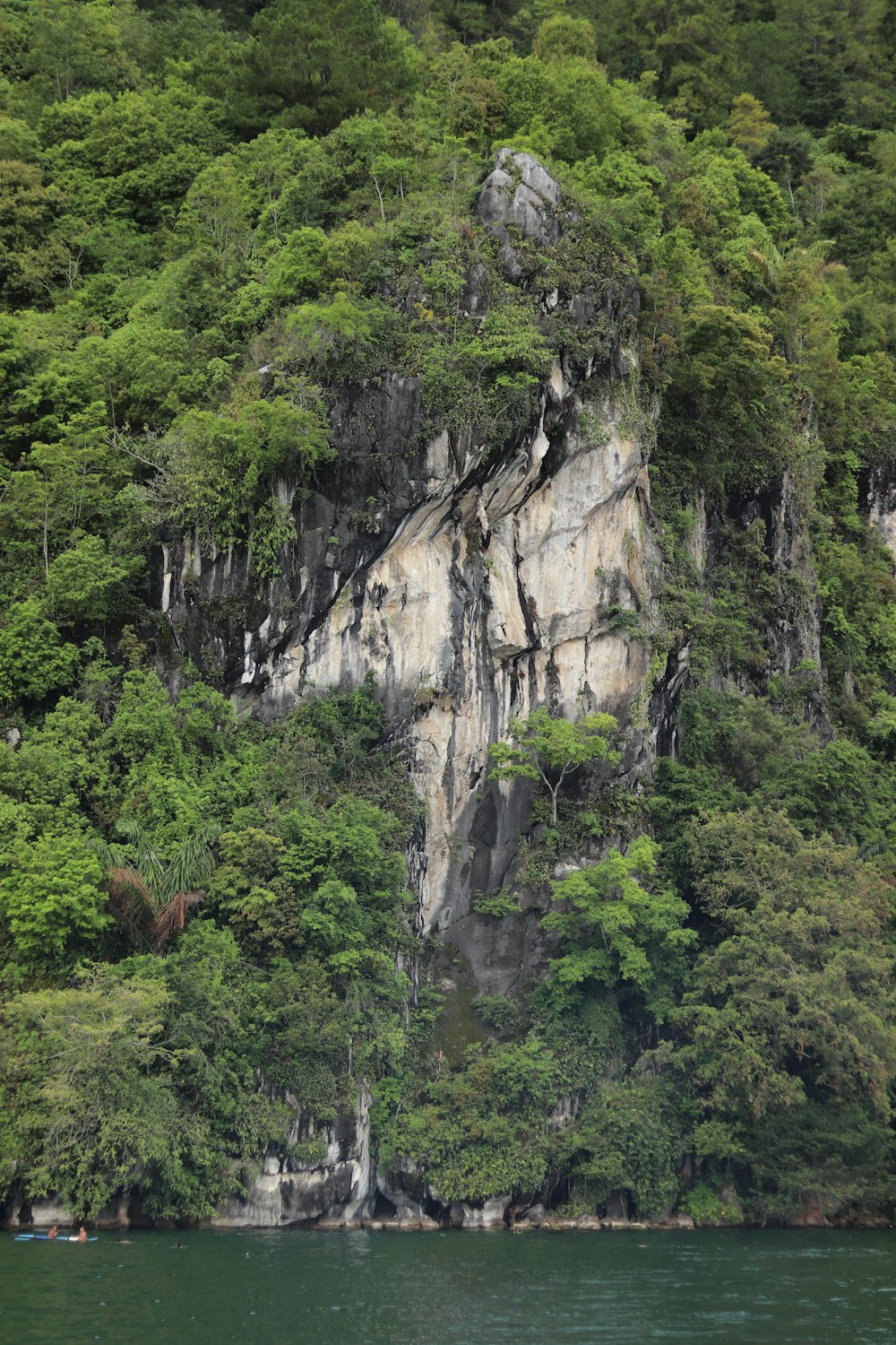 a large rock face surrounded by trees and water