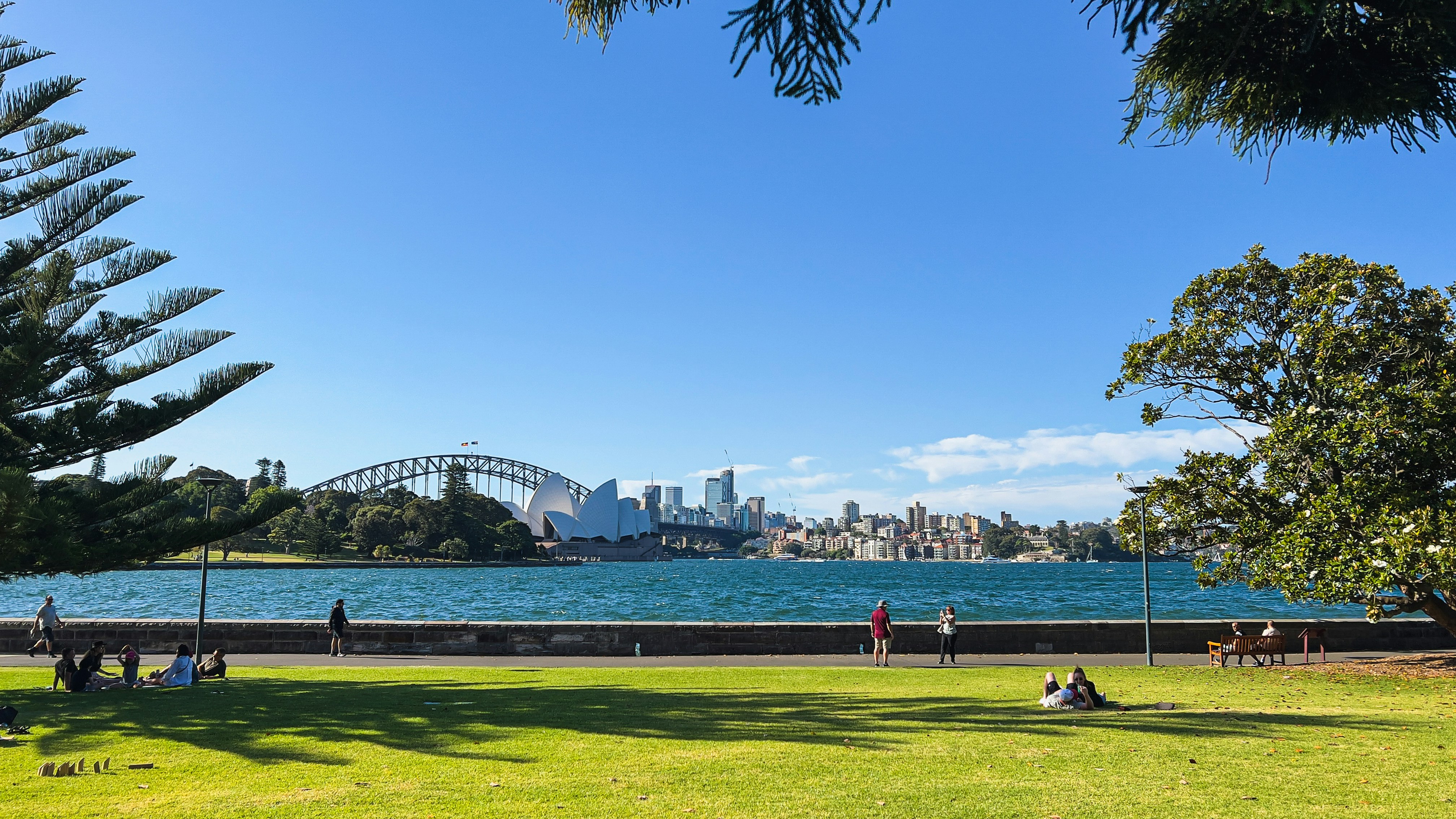 people are sitting on the grass near the water