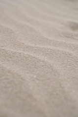 a close up of sand with a small bird on top of it