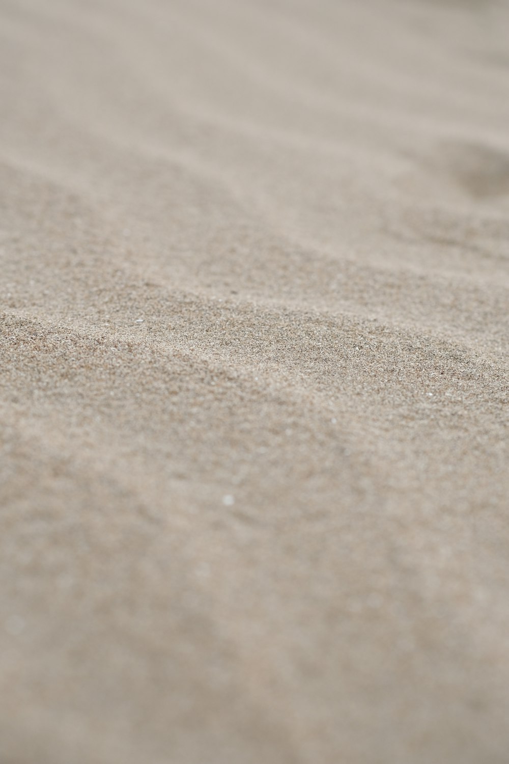 a close up of sand with a small bird on top of it