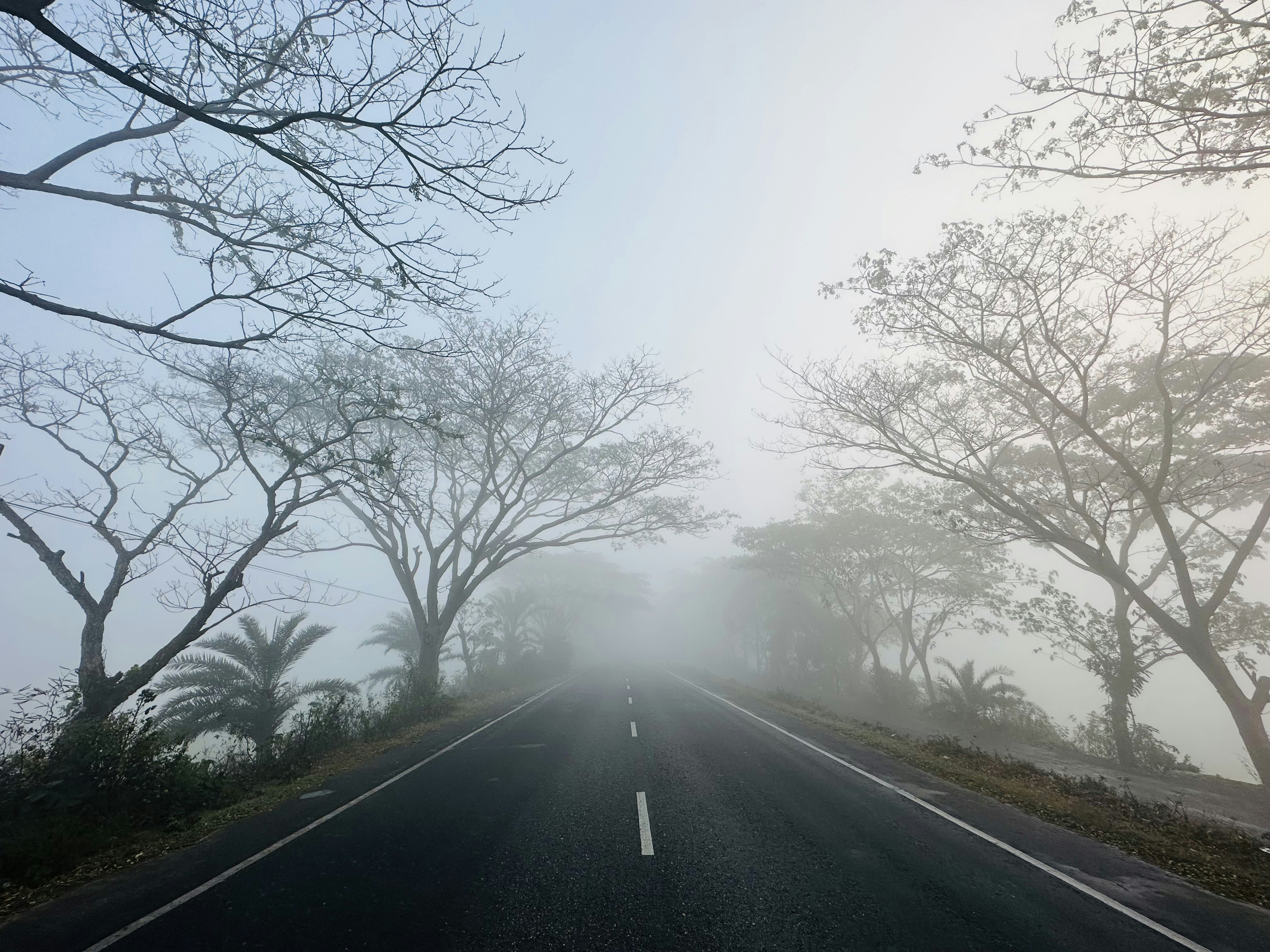 Photo by shamsuddinhabib