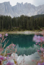 a body of water surrounded by trees and mountains