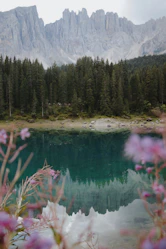 a body of water surrounded by trees and mountains