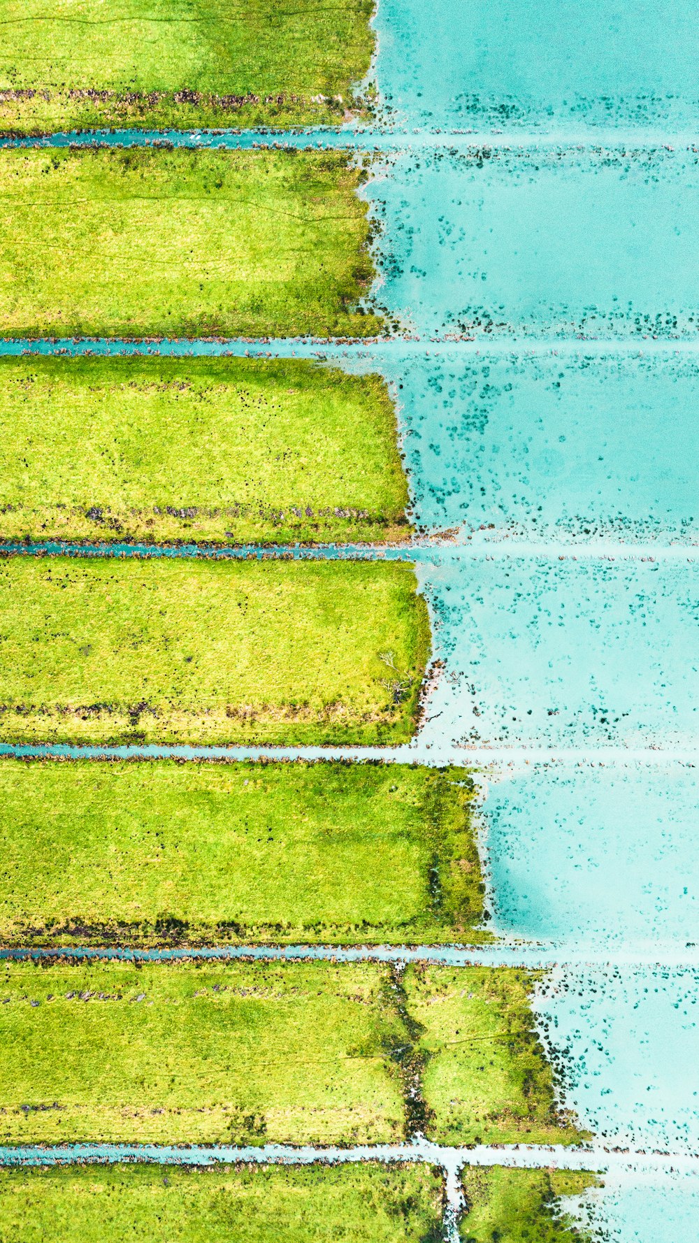 a green field with water and grass next to it