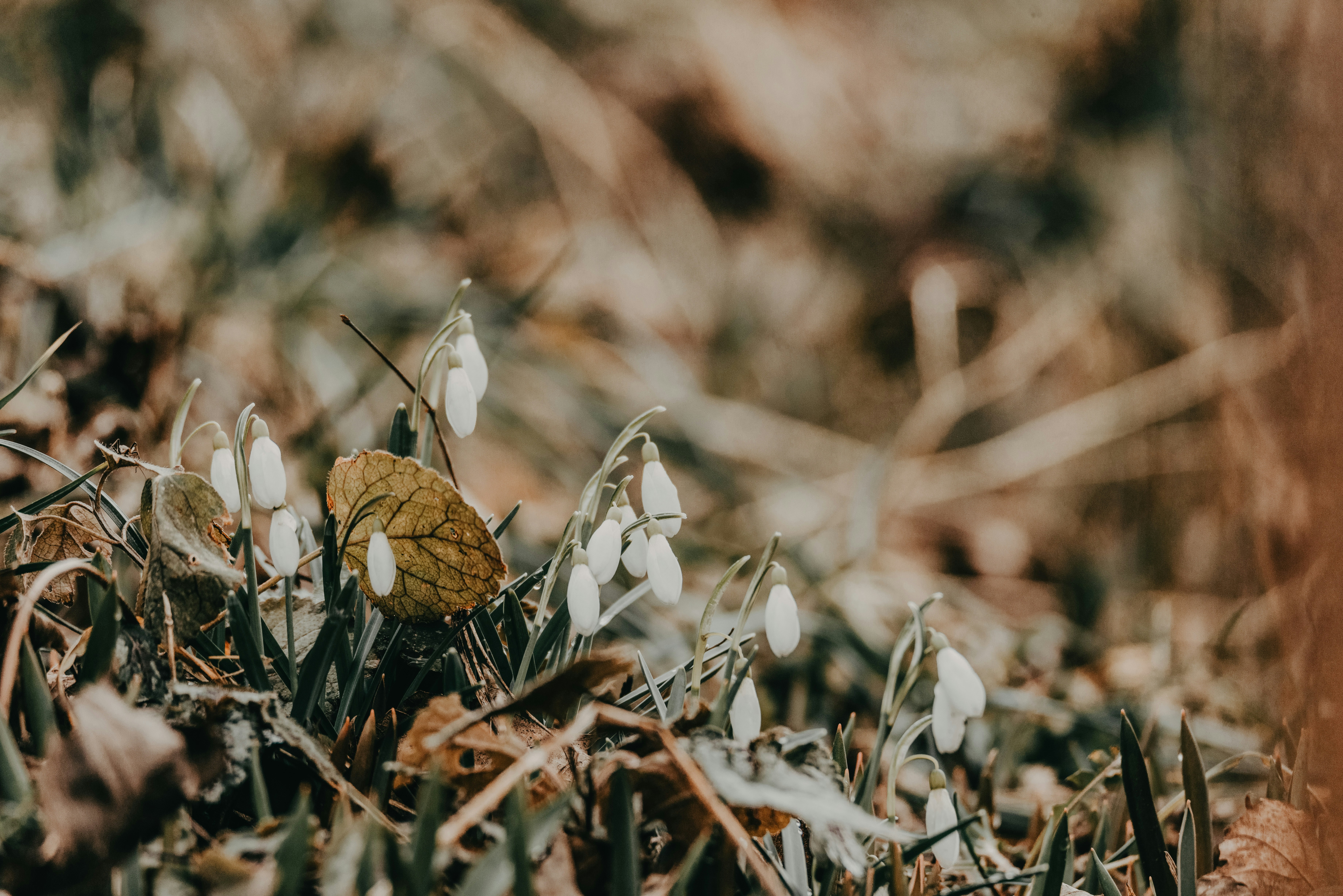 Photo by anitaaustvika