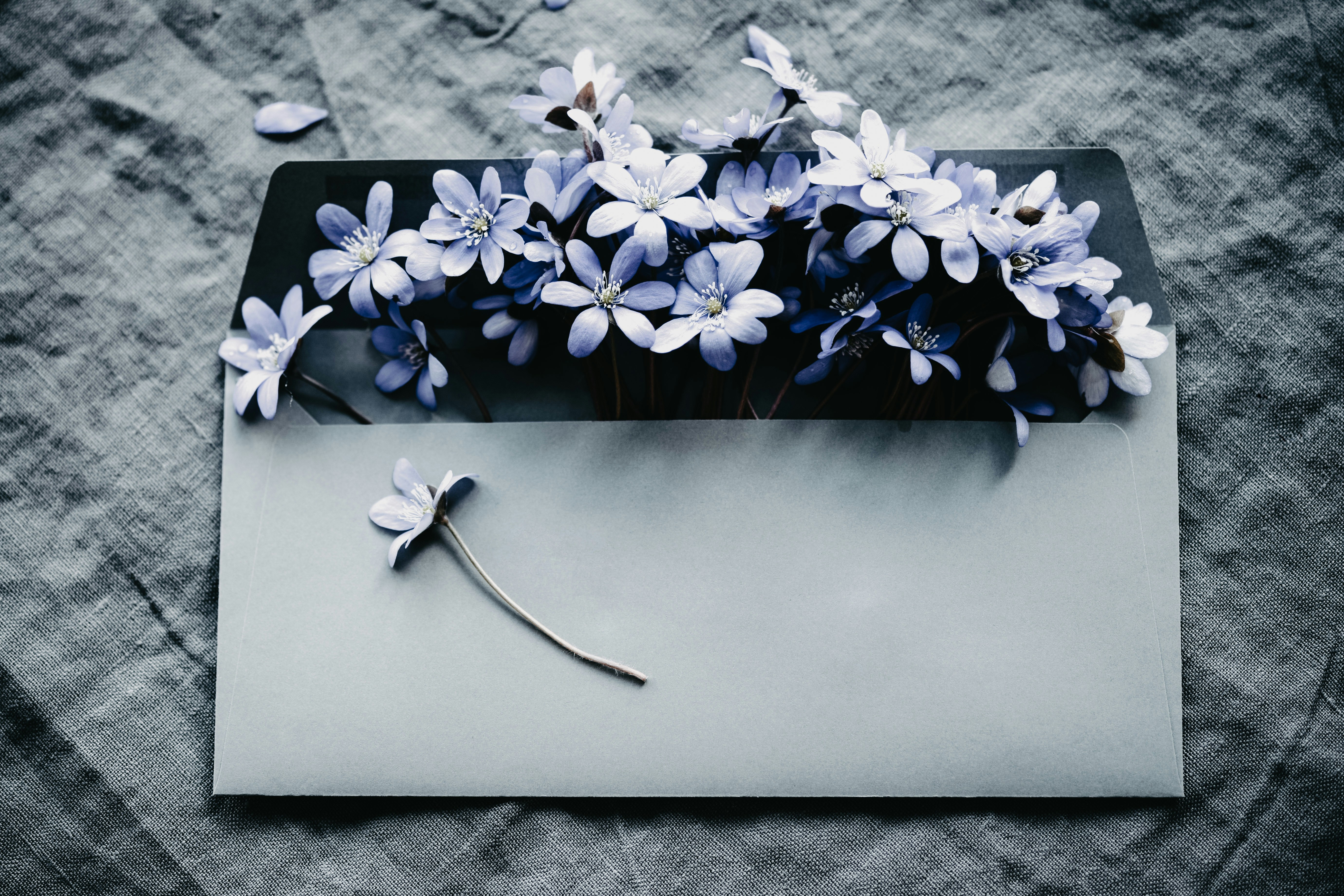 Photo by anitaaustvika