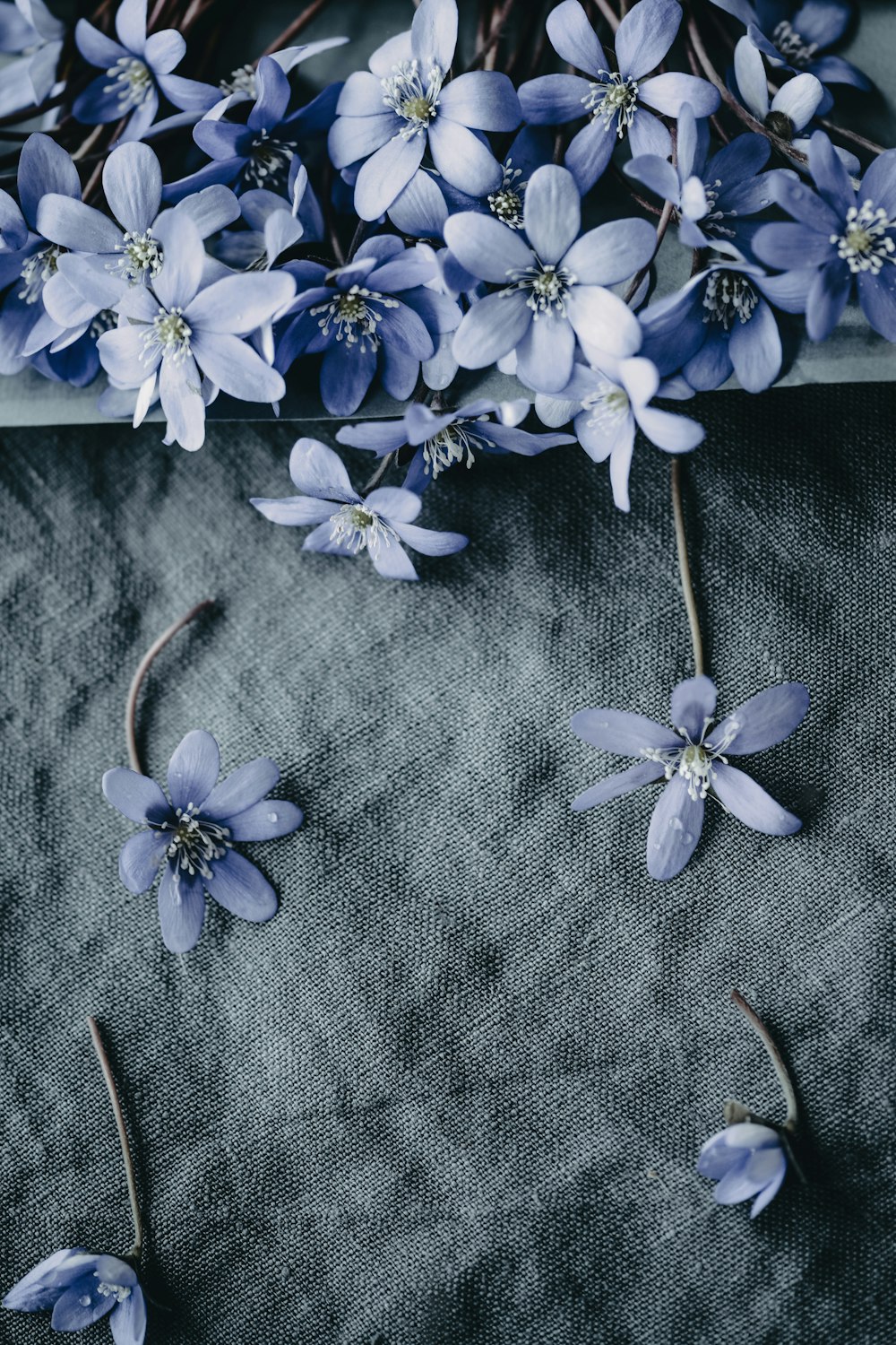 un mazzo di fiori blu seduti sopra un tavolo