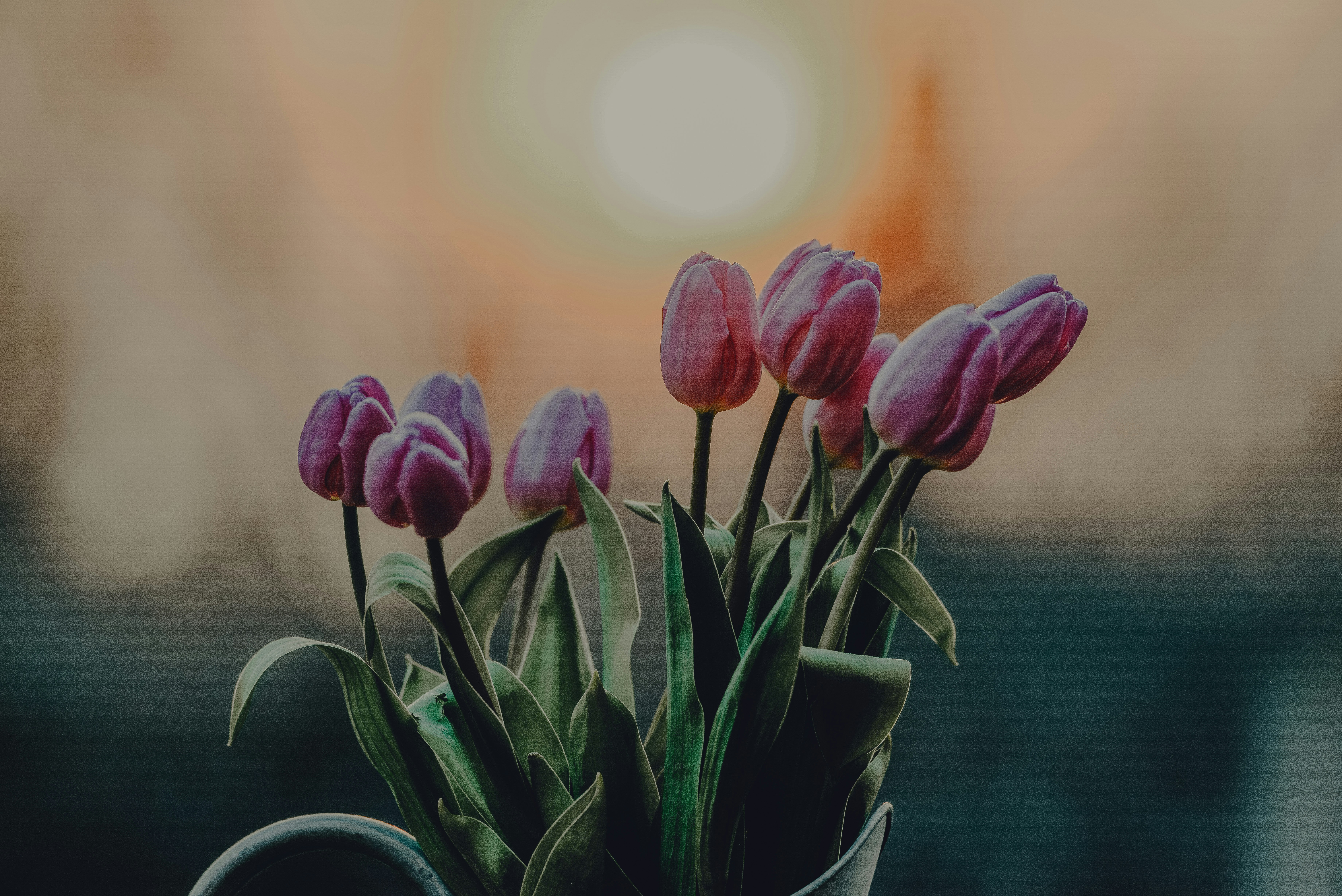 Photo by anitaaustvika