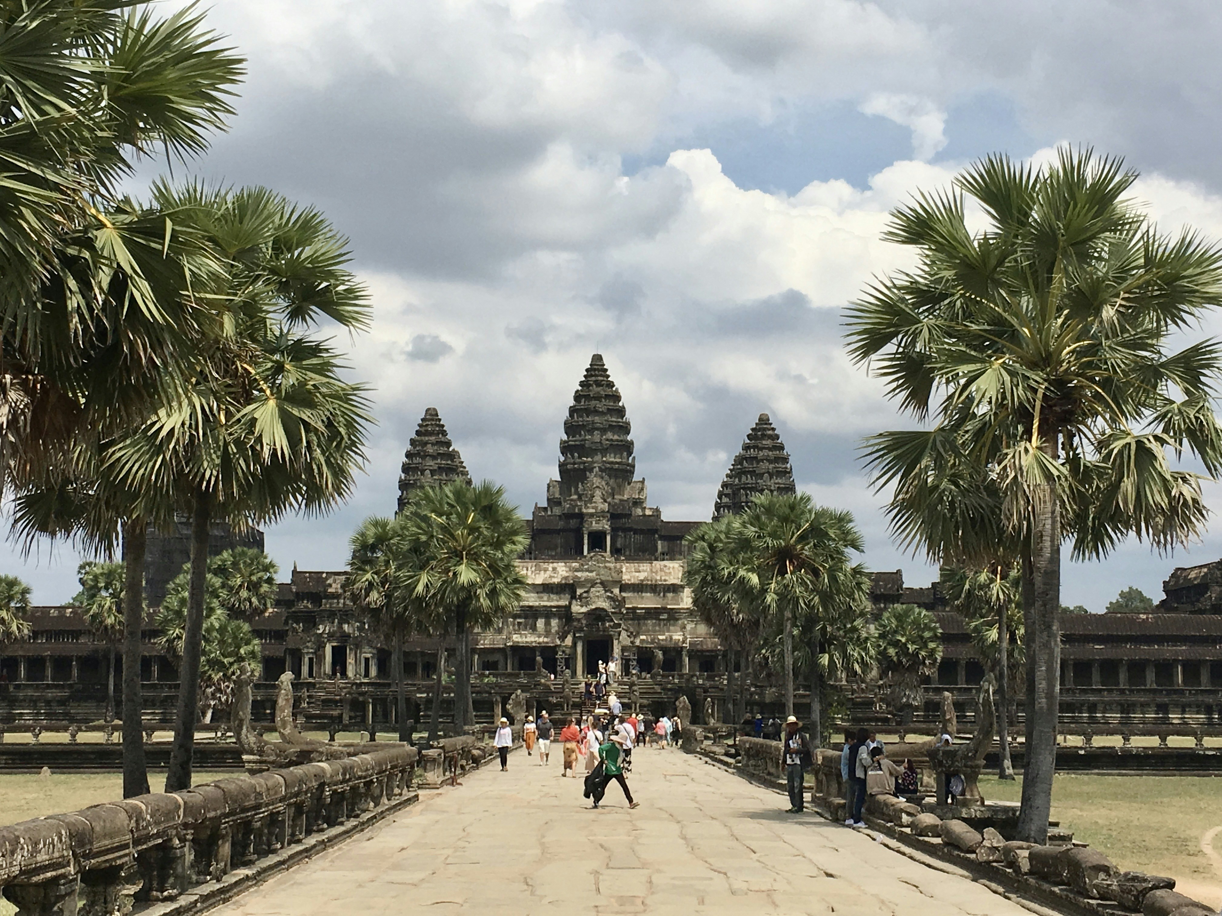 a group of people walking down a street next to palm trees