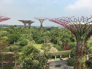 A lush green landscape with tall, tree-like structures featuring intricate patterns and vibrant colors. The scene is enriched with a variety of plants and walkway paths, offering a harmonious blend of nature and futuristic architecture.