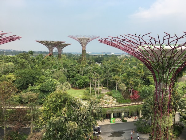 A lush green landscape blending modern eco-friendly architecture with vibrant tropical plants.