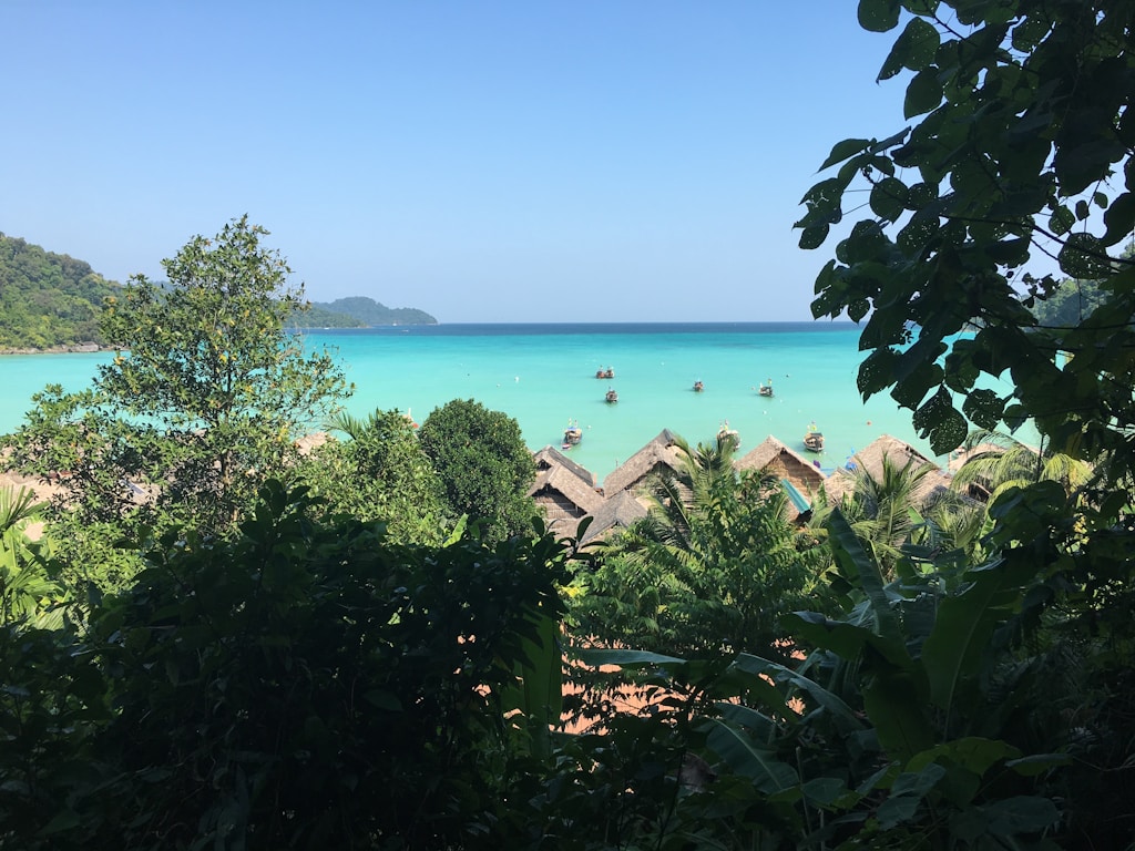 Palm Grove Residential Land