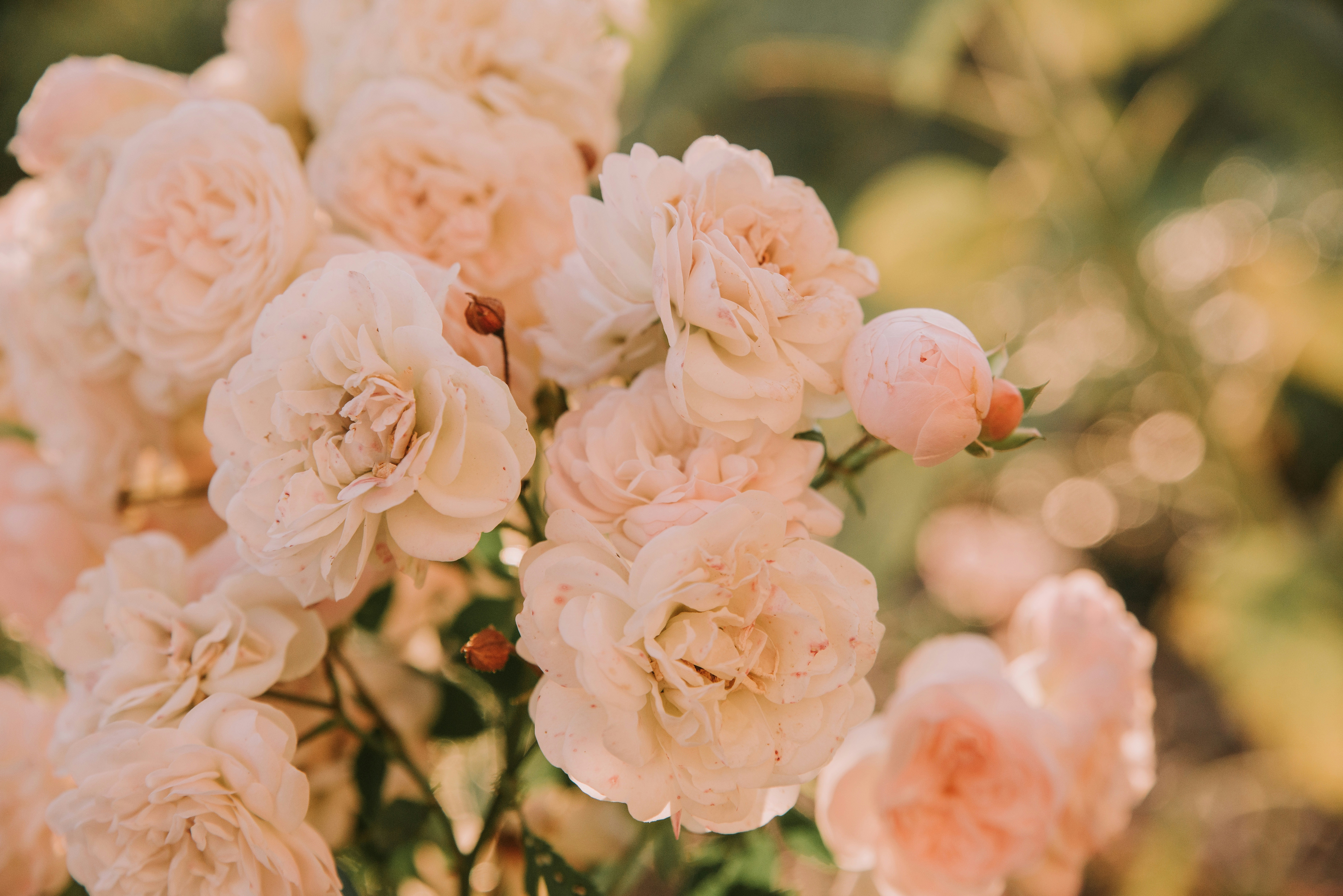 Photo by anitaaustvika