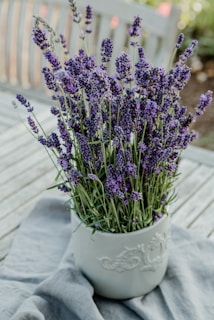 a white vase filled with purple flowers on top of a wooden table
