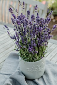 a white vase filled with purple flowers on top of a wooden table