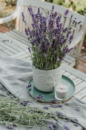 A ceramic pot filled with vibrant lavender flowers is placed on a wooden table outdoors. The table is covered with a light grayish-blue cloth, and some lavender sprigs are scattered around. Next to the pot, a small tealight candle is lit, adding a warm touch to the arrangement.