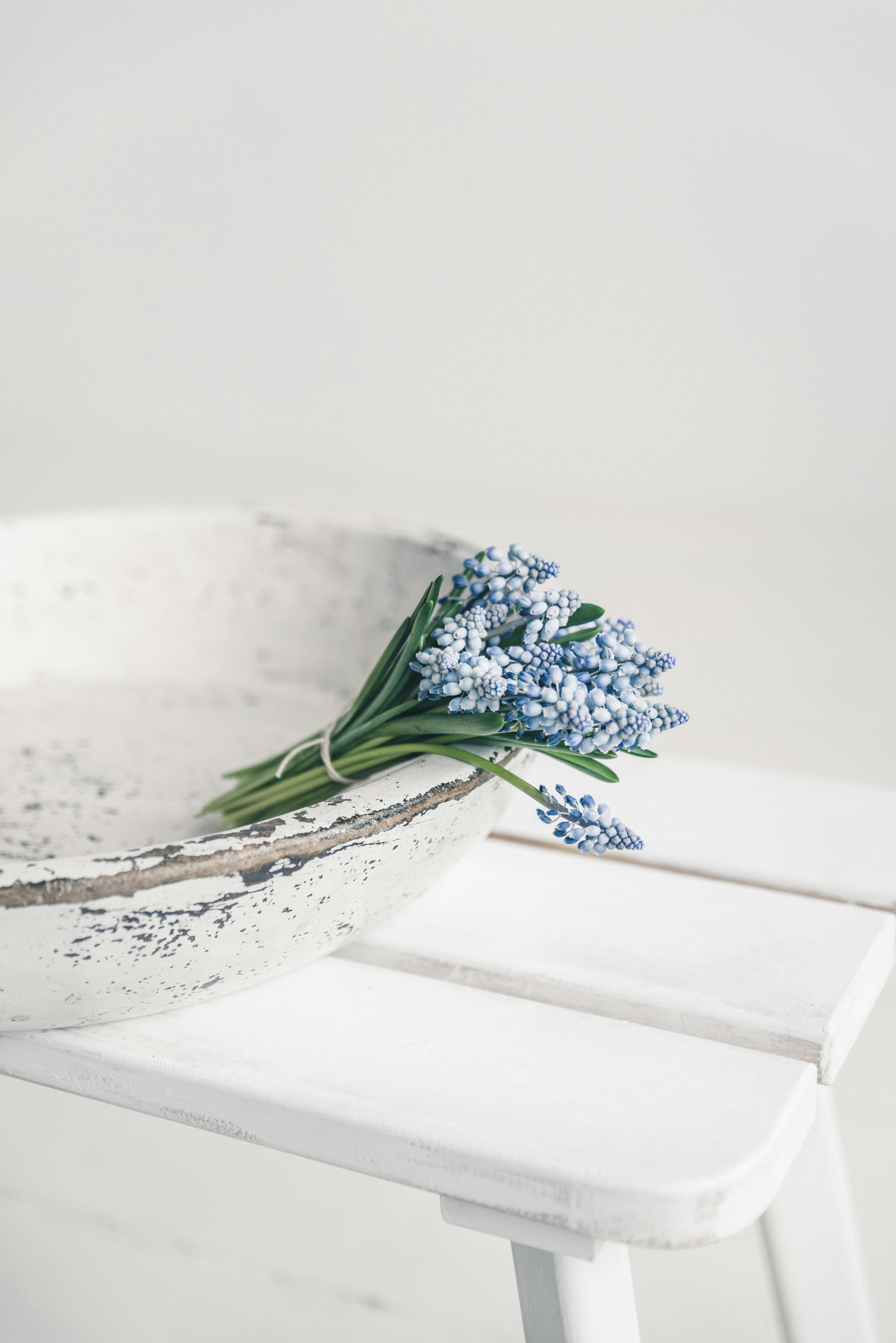 Photo by anitaaustvika