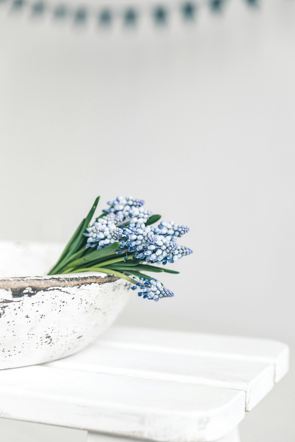 a bunch of blue flowers sitting in a white bowl