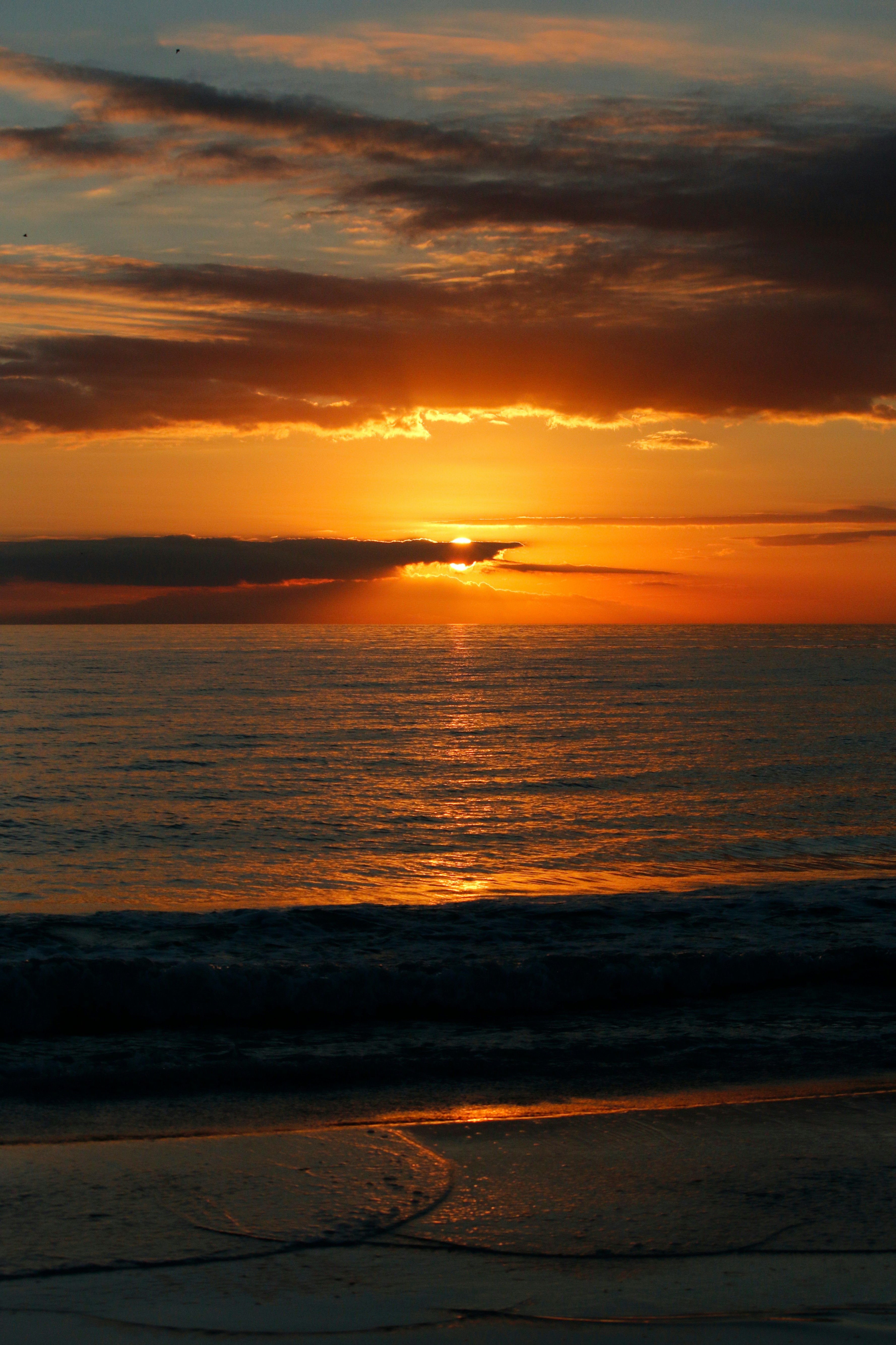 Photo by goldenplover31